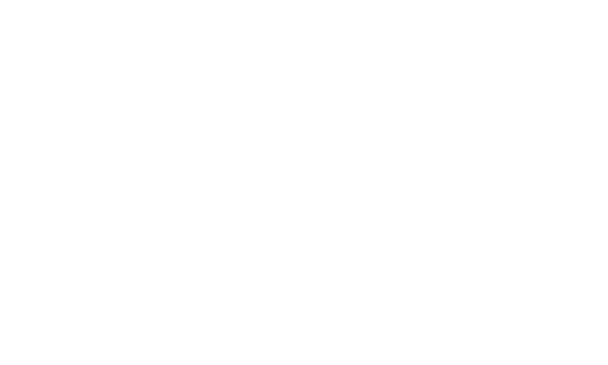logo_wallbox_png