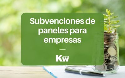 Subvenciones de placas solares para empresas y autónomos