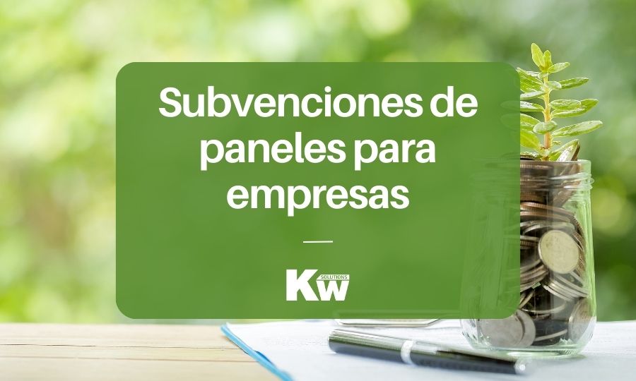 Subvenciones de placas solares para empresas y autónomos
