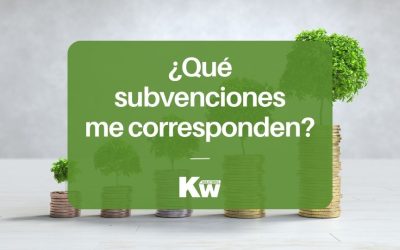 ¿Qué subvenciones de paneles solares me corresponden?